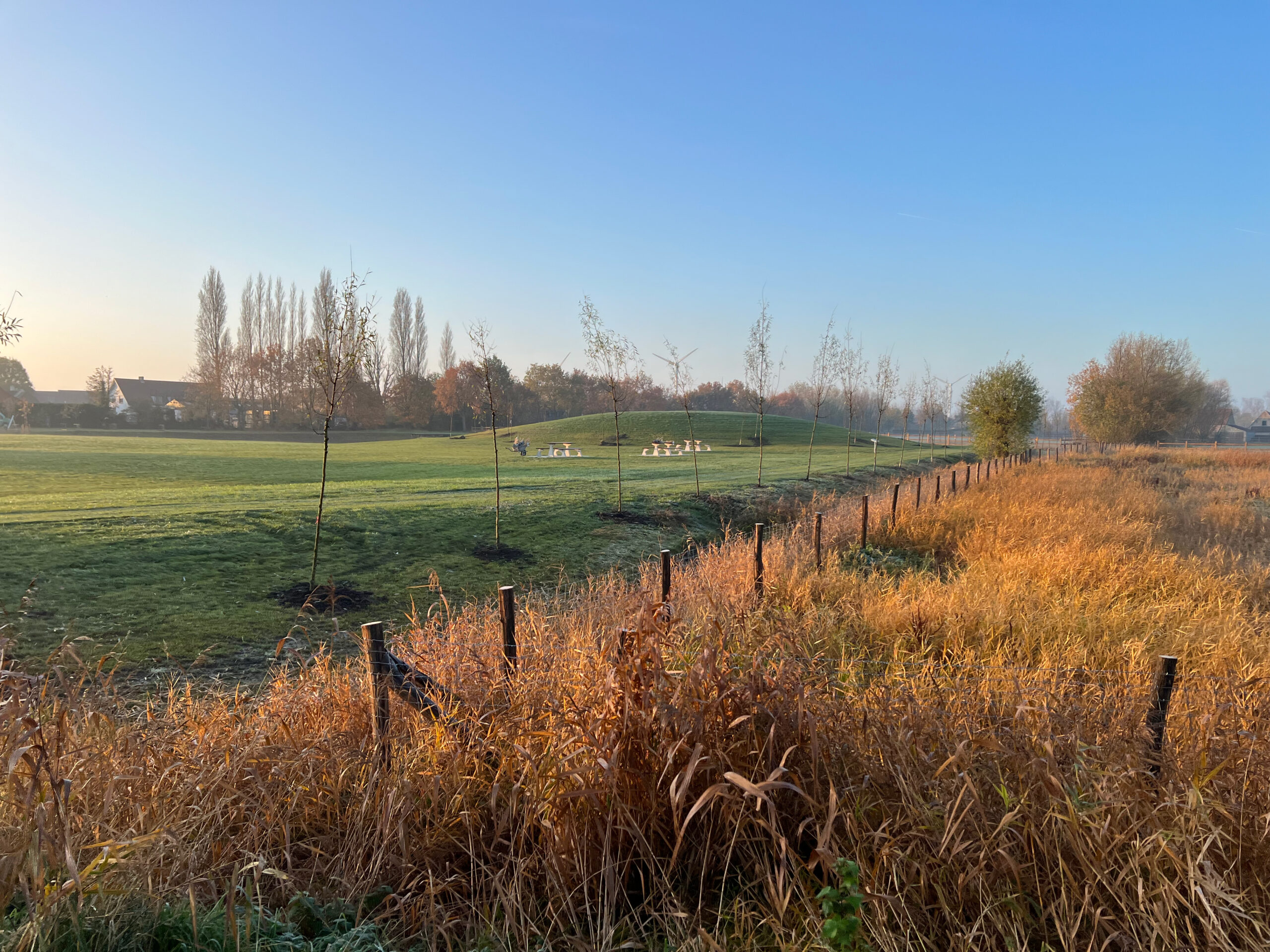 © Vermeulen William BV_Cathemgoed